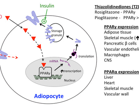 Consider PPARs Supplement for Diabetes